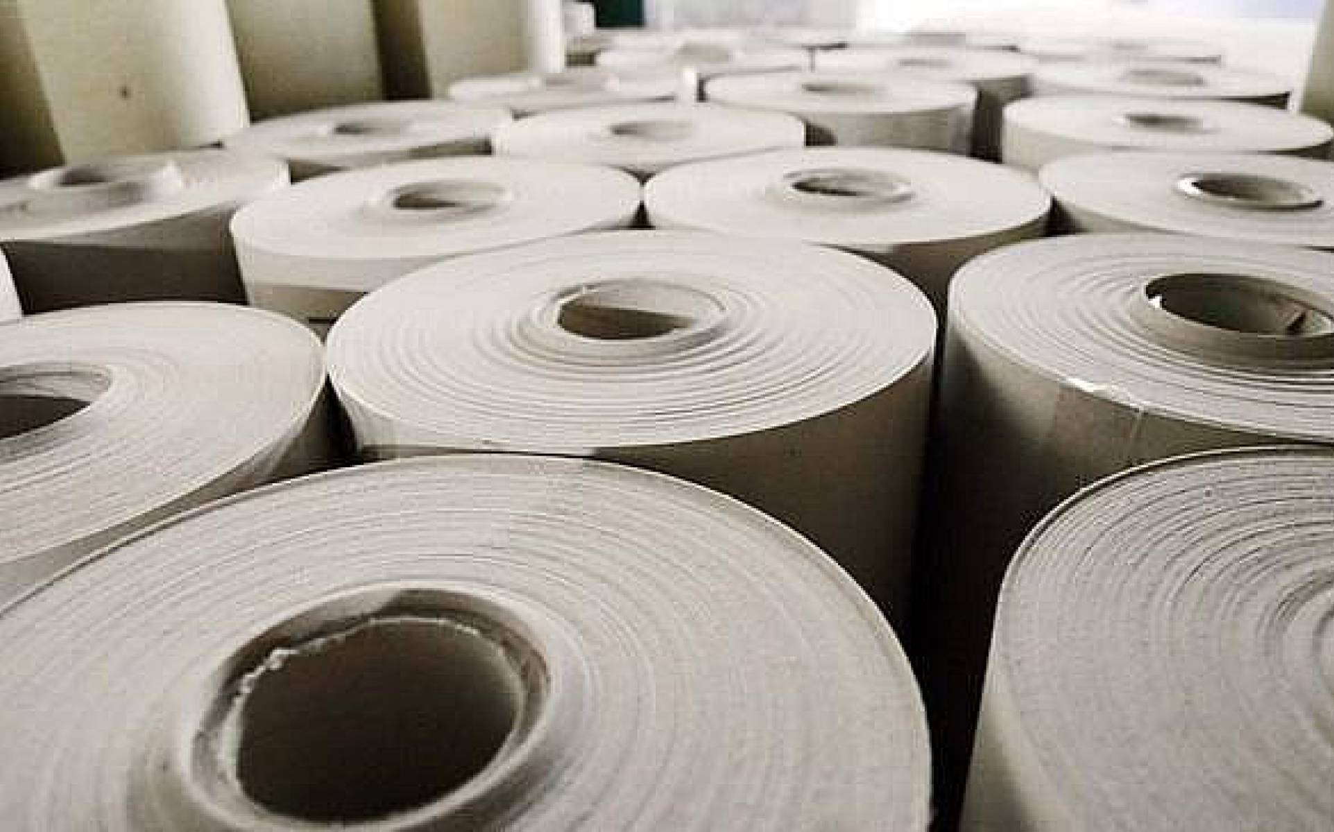 BẢN TIN TỔNG HỢP PPIA TỪ 9/10-13/10/2023